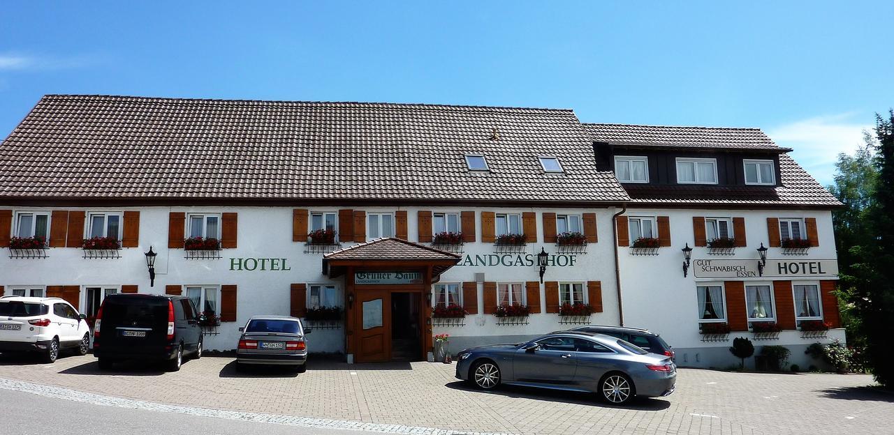 Hotel Landgasthof Gruener Baum Hochdorf  ภายนอก รูปภาพ