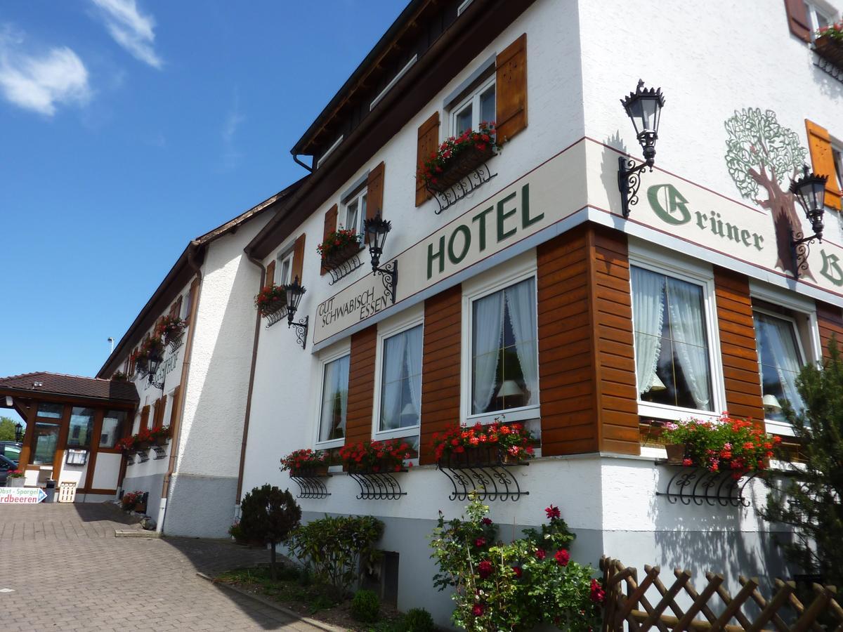 Hotel Landgasthof Gruener Baum Hochdorf  ภายนอก รูปภาพ